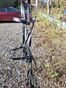 Ogłowie bezwędzidłowe pony/cob