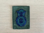 Naszywka - USAF - Security Forces (SF) (OD Subdued)