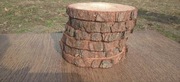 Plastry drewna, 10 szt, 20-25 cm, krążki, podstawki, na tort, stroiki