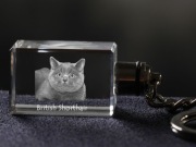 British Shorthair brelok sześcienny Świecący