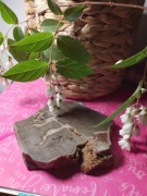 Septaria Nowy Kościół