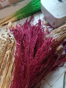 Proso klosy zboże suszone naturalne trawy ozdobne bordo