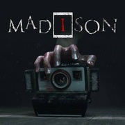 Madison STEAM ACCOUNT GLOBAL
