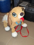 Piesek Boogie skaczacy na smyczy