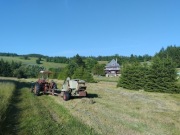 Kostki siana z górskiej łąki