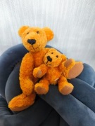 Zestaw 2 misiów Steiff Teddy Bear.