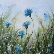 Akwarela oprawiona "Na niebiesko"