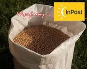 Pszenica Karma 25 kg 