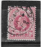 ANGLIA KOLONIE NATAL ONE PENNY