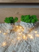 Doniczki ozdobne z chrobotkiem naturalnym beton specjalistyczny