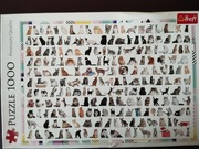 TREFL PUZZLE 1000 el KOTY KOTKI PREMIUM QUALITY