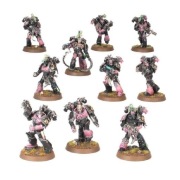 10x TORMENTORS / INFRACTORS Champions Of Slaanesh Emperors Children
