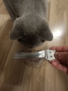 Wyciskacz do mokrej karmy