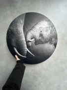 Obraz okrągły biało-czarny słoń 