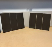 Bang & Olufsen Beovox RL 35