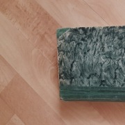 Pan Tadeusz - rok 1966