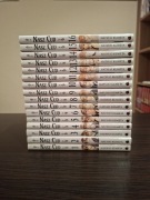 Nasz cud (tomy 1-16), manga, Natsuo Kumeta