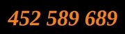 ZŁOTY NUMER 452 589 689 Orange