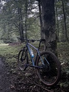 Cube Reaction pro XL 2023