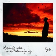 Buka - Wspaniały widok na nic interesującego 2CD