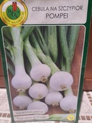 Cebula na szczypior 'Pompei'