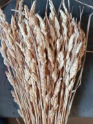 Trawa kupkowa zboże suszone naturalne trawy ozdoby 