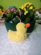 Szydełkowa kaczuszka