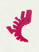 Dinus Transparent Red