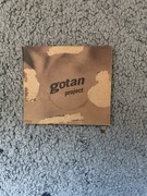 Gotan project la revancha del tango