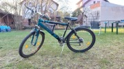Rower Delta 19 cali