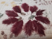 Naturalne pióra strusie, barwione (10szt)