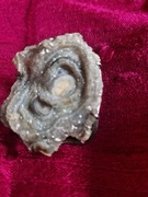 Brosza, wisior z druzą agatową.