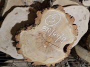 AKACJA ROBINIA 50/44/9 cm Po Suszarni Blat Plaster Drewna Stolik DIY Suchy