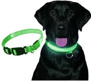 OBROŻA LED ŚWIECĄCA DLA PSA NA BATERIE REGULOWANA