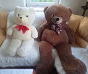 2 duże misie , mis biały , miś brązowy.