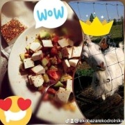 Mleko kozie PREMIUM na zsiadłe,sery,twarogi,jogurt,serwatkę ect  SZKŁO !