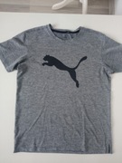 Puma szary męski T Shirt koszulka r M