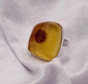 Srebrny pierścionek z bursztynem