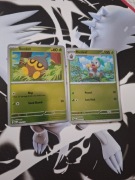 Karty Pokemon TCG zestaw Seedot MEG 013 & Nuzleaf 014 Ewolucja HOLO