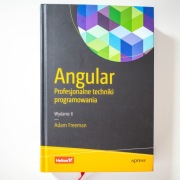 Książka Angular. Profesjonalne techniki programowania Wydanie II