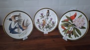 Talerze ozdobne ptaki unikat pikasiak