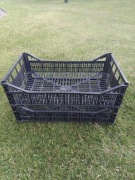 Kukurydza zanęta dla ryb, dla ptaków 24kg 2xskrzynka 40g chipsy topinambur