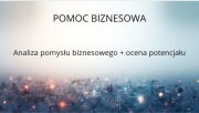 Profesjonalna pomoc biznesowa-Analiza pomysłu biznesowego+ocena potencjału