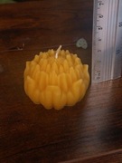 Dalia świeca z wosku pszczelego