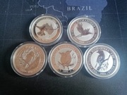 Srebrne Monety Kookaburra PE20 2009 r - 5 sztuk 1 oz