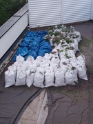 Oddam ziemię ZA DARMO