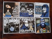 Vlepki Igloopol Dębica #4