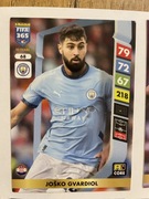 FIFA 365 2025 Karta 68