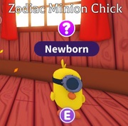 Zodiac Minion Chick! |NAJTANIEJ SZYBKO DUŻO POLECEŃ!|Adopt Me|Roblox