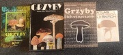 Zestaw 4 książek o grzybach Grzyby Grzyby i ich oznaczanie Atlas kieszonkow